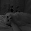 Patz ♡'s avatar