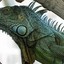(VCM)Spiky Iguana/Spiky BOI