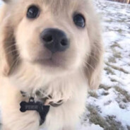 不道啊我不道啊