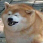 Shiba Prime - steam id 76561197965788312