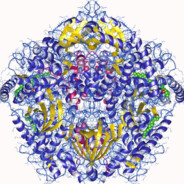 Protein Kinase A II (Official) avatar