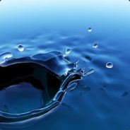 FleshBeck - steam id 76561197960555485