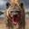 Hyena