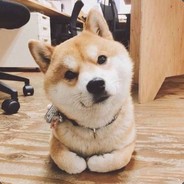 无情的白给机器zz