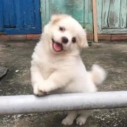 再也不要考研！