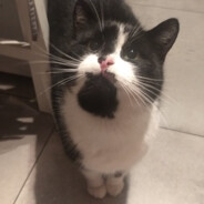 Łułu <3