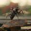 Ant 247