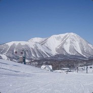 大逼哥