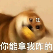 竟如此嚣张女士