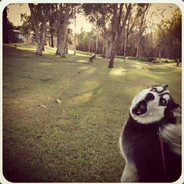 玉树临风张子涵