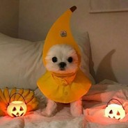 想想软软会怎么说