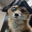 Fox Cainhurst