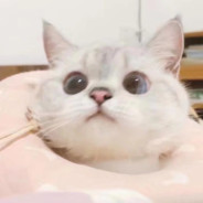 Big Avatar