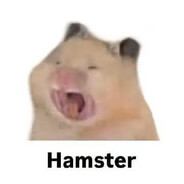 车轮饼解构形态