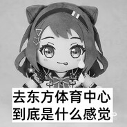 去东体到底是什么感觉