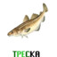 Treska