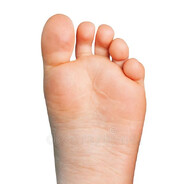 ПТИЦА СЧАСТЬЯ