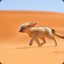 Desert_Fox
