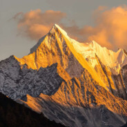 单拉然后看芒果君