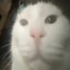 Fluffy