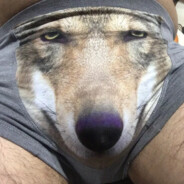 Райангослинг