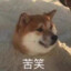 Yu
