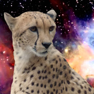 SpaceCheetah