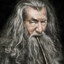 Gandalf der Graue