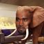 KanyElephant