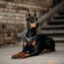 Dobermanus|DOGS