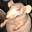 Rancid Rat