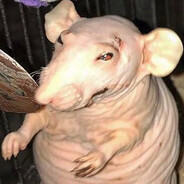 Rancid Rat