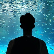 Su.jr不会唱小白船