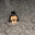 botmen