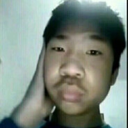 金叶到处刘先生