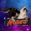 Cat on Mars