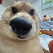 她说人多 以为有我