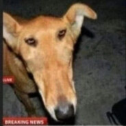 killerdarkbrawlstarsstalker98rus