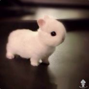 我只会法师