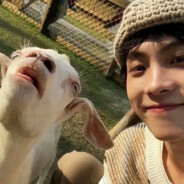 比奇堡突破手派大星