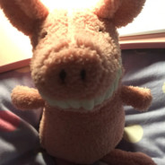 不要上海一套房