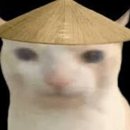 asian cat