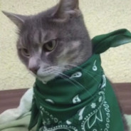 Леус ХУЕСОС