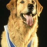 Airbud