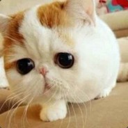 半梦半醒半浮生