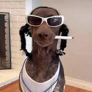 snoppydoghnuts