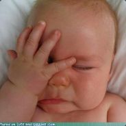 stollen
