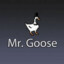 mrgoose007