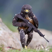 茄子炖土豆撑死老爷子