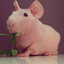 porco do mato;)